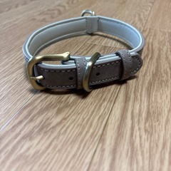 大型犬 首輪の画像