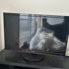SHARP LC-24P5
の画像