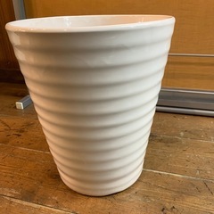 陶器鉢　植木鉢　胡蝶蘭　株苗　の画像