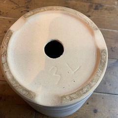 陶器鉢　植木鉢　胡蝶蘭　株苗　の画像