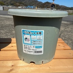 プランター（複数あり）の画像