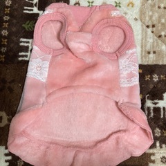 犬猫服Sサイズ新品に近いの画像