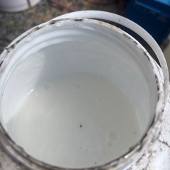 壁紙ボンド　半分の画像