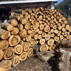 薪ストーブ用にクヌギ、ナラ、サクラの木の画像