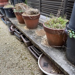 鉢　大量の画像