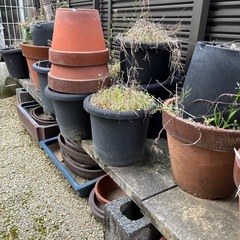 鉢　大量の画像