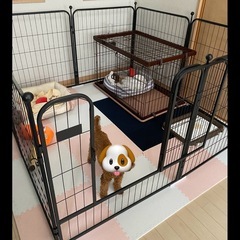 ペット用　大きなゲージの画像