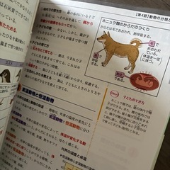 セット
参考書・問題集「調べる！わかる！力がつく！中1、2、3理科」セットの画像