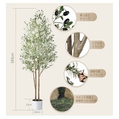 フェイクグリーン　インテリアの画像