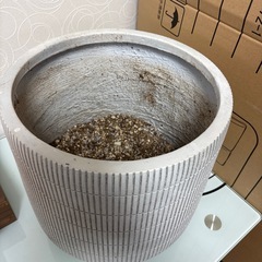 鉢の画像