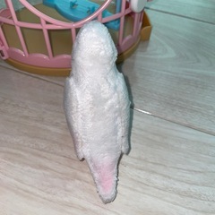 おしゃべりインコ　オモチャの画像