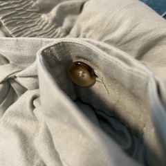 スローブイエナ　パンツ　カーキ　の画像