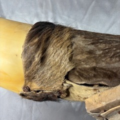 アメリカバッファロー壁掛けの画像