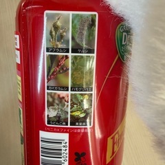 花スプレーの画像