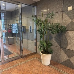 レプリカ観葉植物の画像