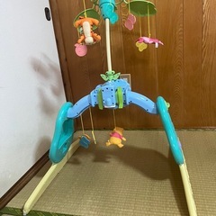 プーメリーの画像