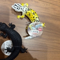 昆虫のセットの画像