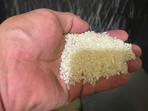 　岐阜県　中津川産　コシヒカリ　玄米　30kg