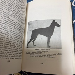 ドーベルマンの洋書の画像