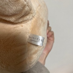 オオサンショウウオ　ぬいぐるみの画像