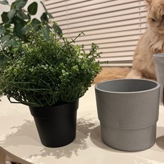 IKEA フェイカ
の画像