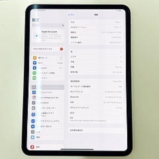 iPad Pro 11インチ M4 256GB SB判定〇 Wi-Fi+Cellularモデル