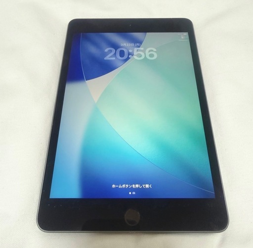 iPad mini 5 