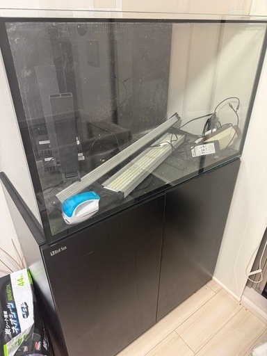 レッドシー水槽