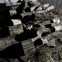 薪　キャンプやストーブにどうぞの画像