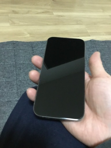 iPhone15Pro256GB本日24日まで掲載