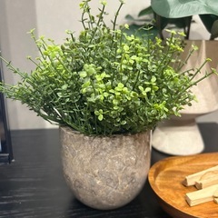 フェイクグリーンの画像