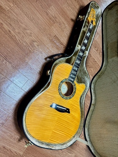Aria Elecord FEA-120