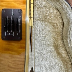 Aria Elecord FEA-120の画像