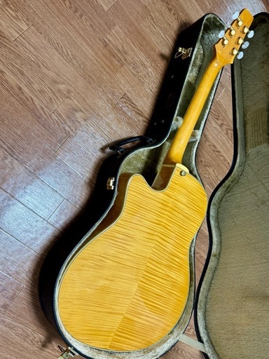 Aria Elecord FEA-120