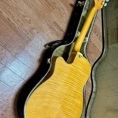Aria Elecord FEA-120の画像