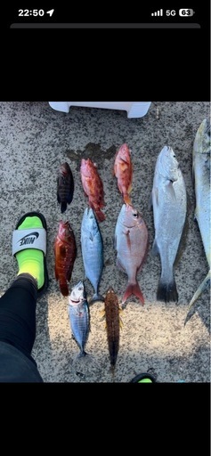 ホンデックス魚探探知機