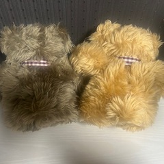 くまさんセットの画像