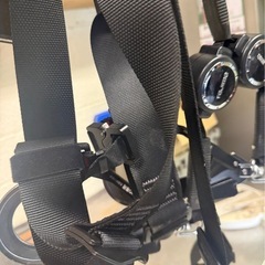 タジマハーネスの画像