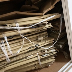 🐼引越しダンボール の画像