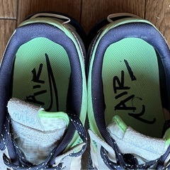 NIKEエアーマックスプリデイ2の画像