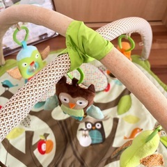 ベビージム　スキップホップの画像