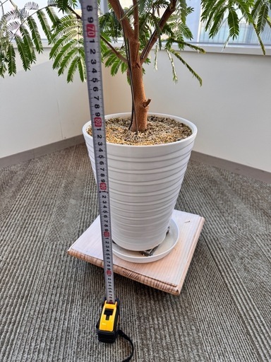 観葉植物　造形エバーフレッシュ元気！　約1.2メートル　陶器鉢付き！常識範囲でお値引き可能