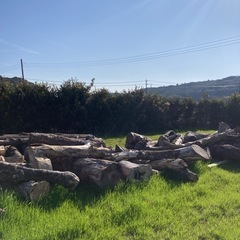 薪　原木　広葉樹　薪ストーブ　　鹿嶋市の画像