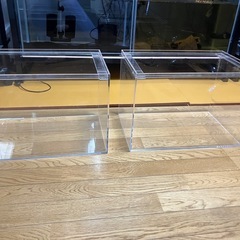 45センチアクリル水槽2本セット
の画像