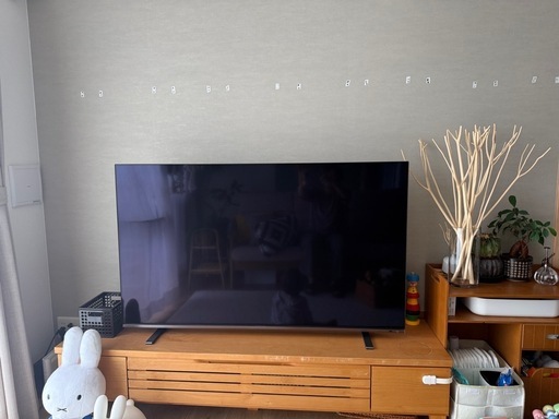 【値下げ】有機EL  55インチ　REGZA【TOSHIBA】