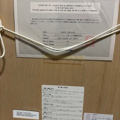 スターウォーズ　絵画　ドゥルーストゥールザンの画像