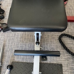 ラットプルの画像