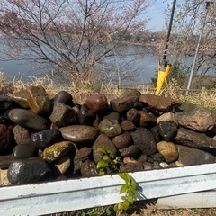 まだまだ増えます！石！無料！の画像