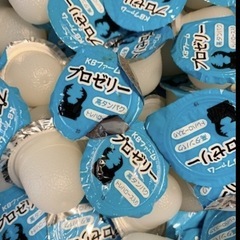 再投稿25日水曜日まで　クワカブ用に購入した物色々 プロゼリー他の画像