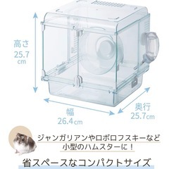 グラスハーモニー　250 　の画像